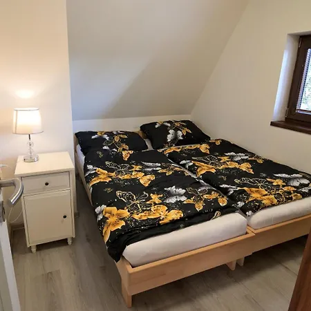 Apartment Andrea Strba